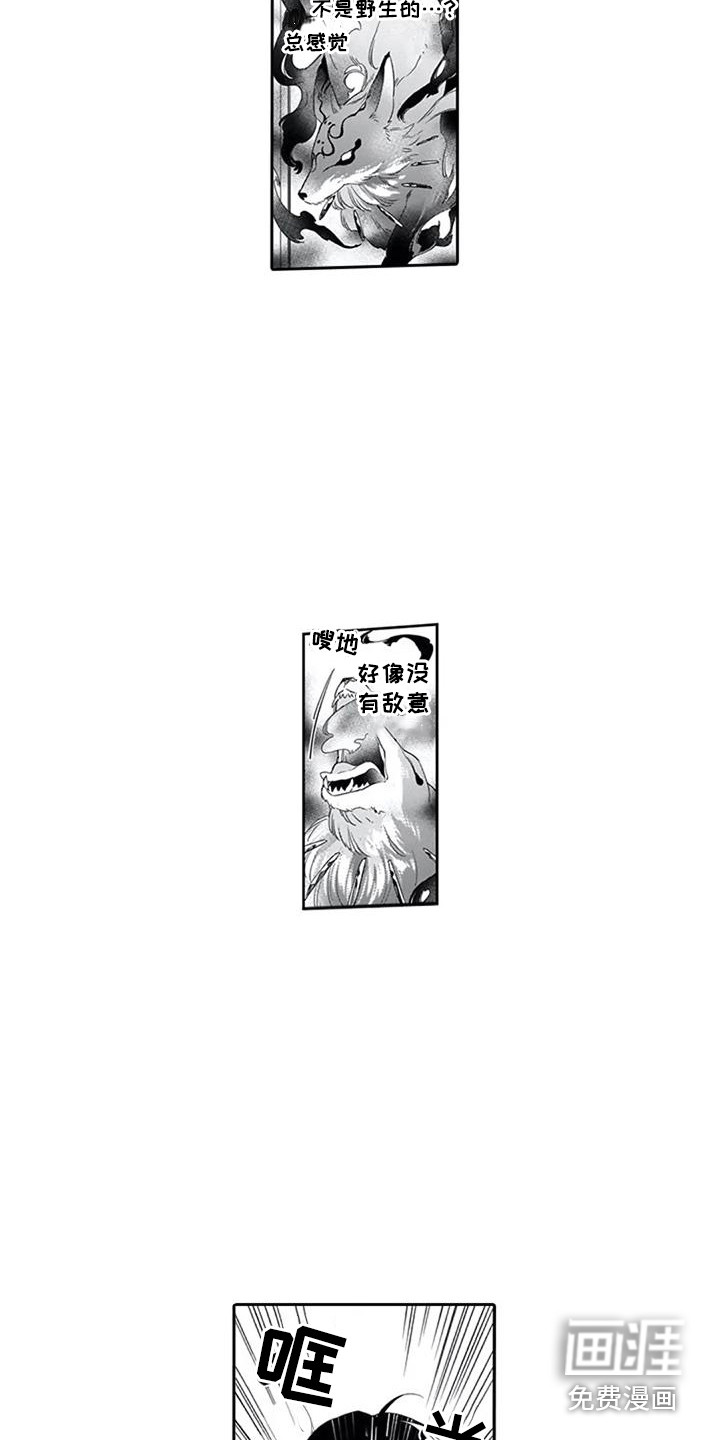 第8话11