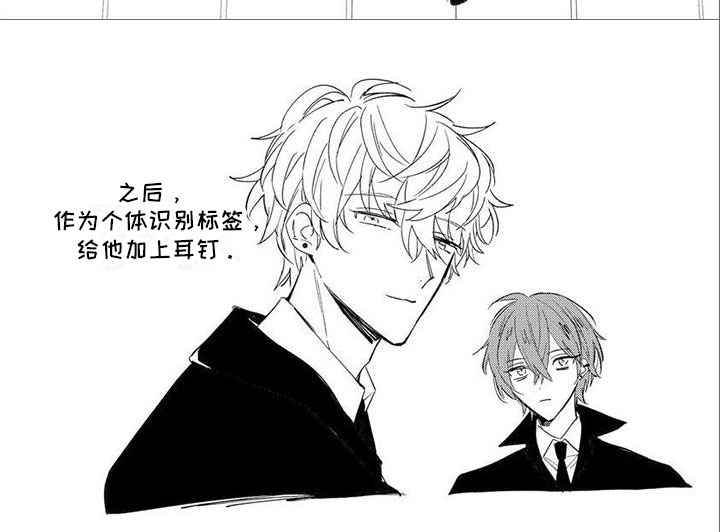 第4话11
