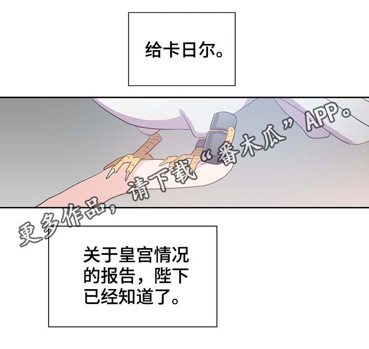 第98话0