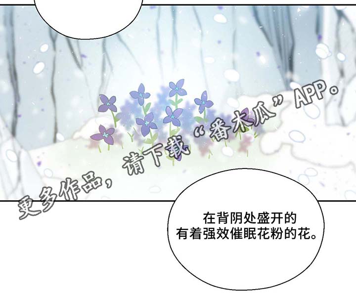 第80话30