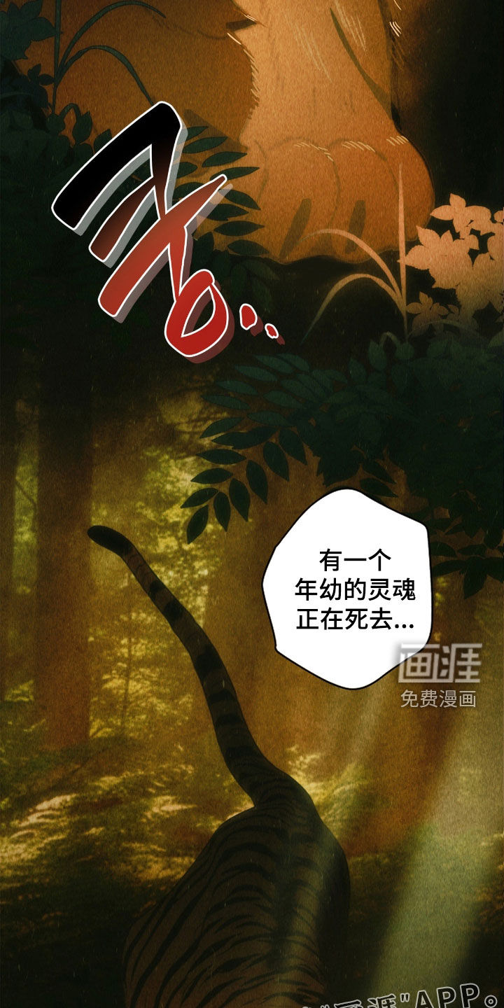 第52话3