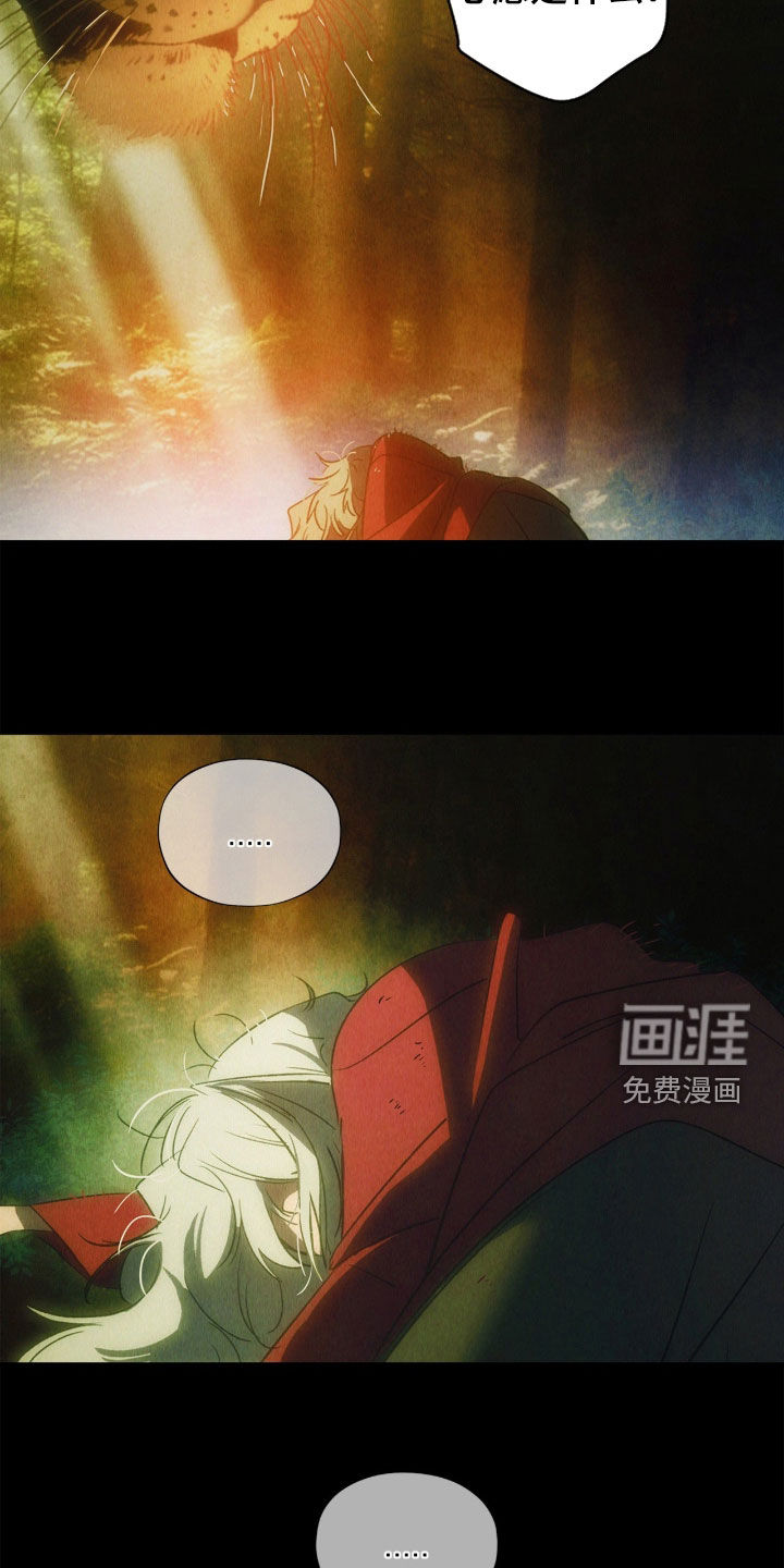 第52话5