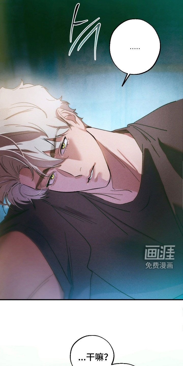 第17话19