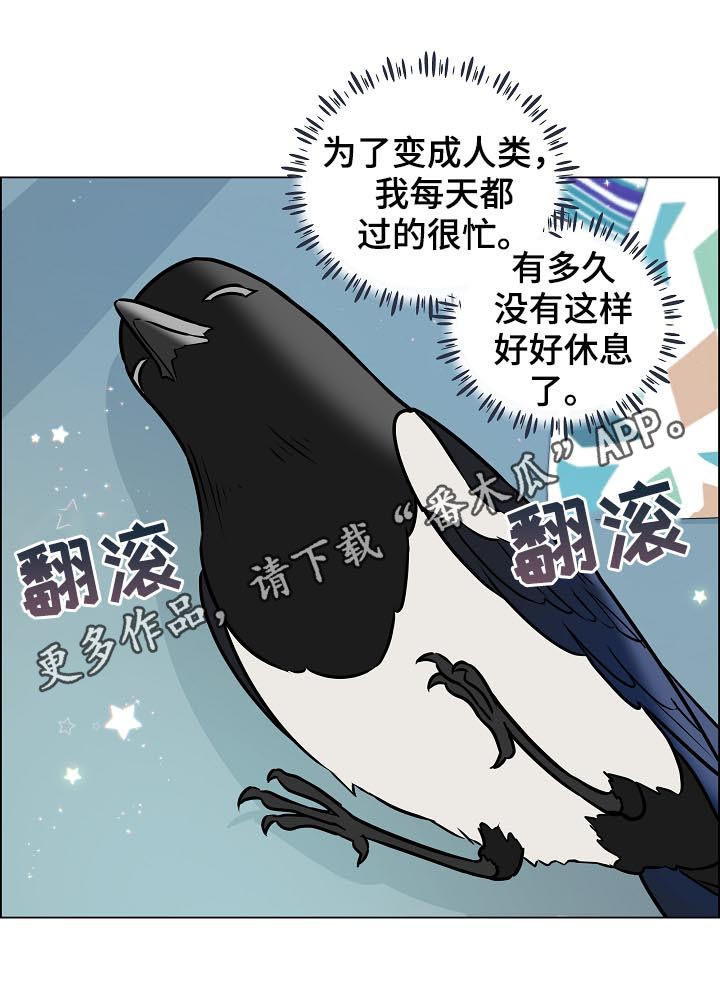 第65话0