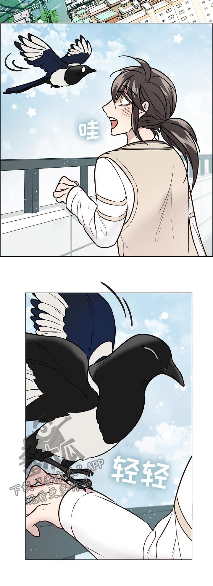第65话5