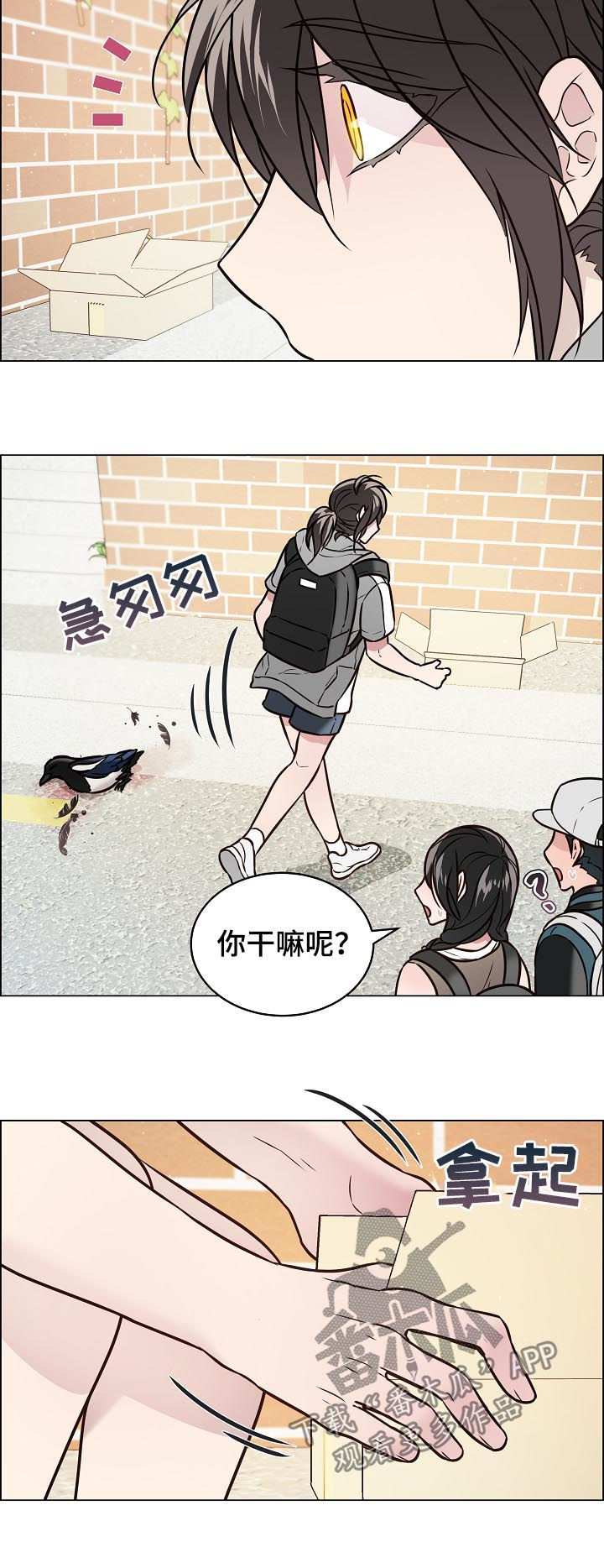 第62话5