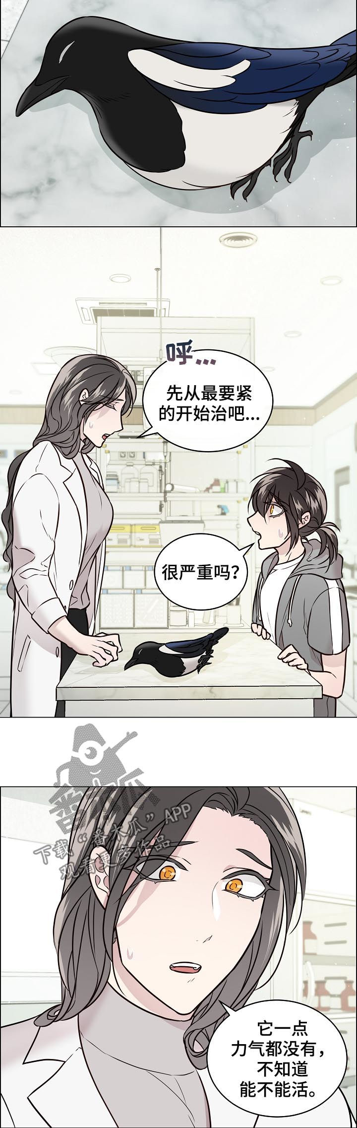第62话9