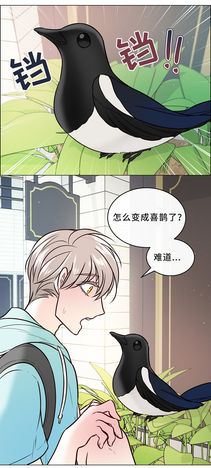第41话0
