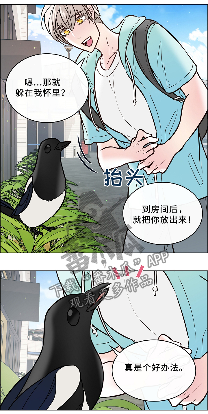 第41话3