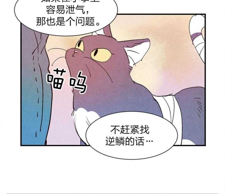 第54话22