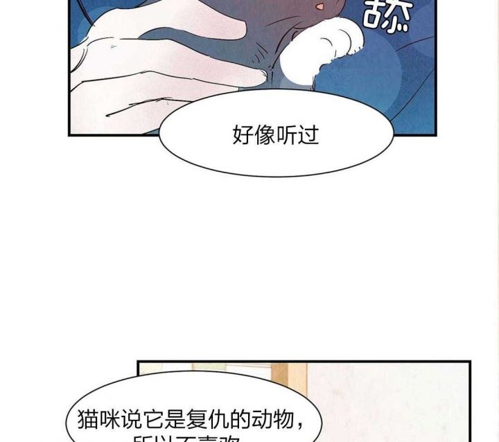 第53话15