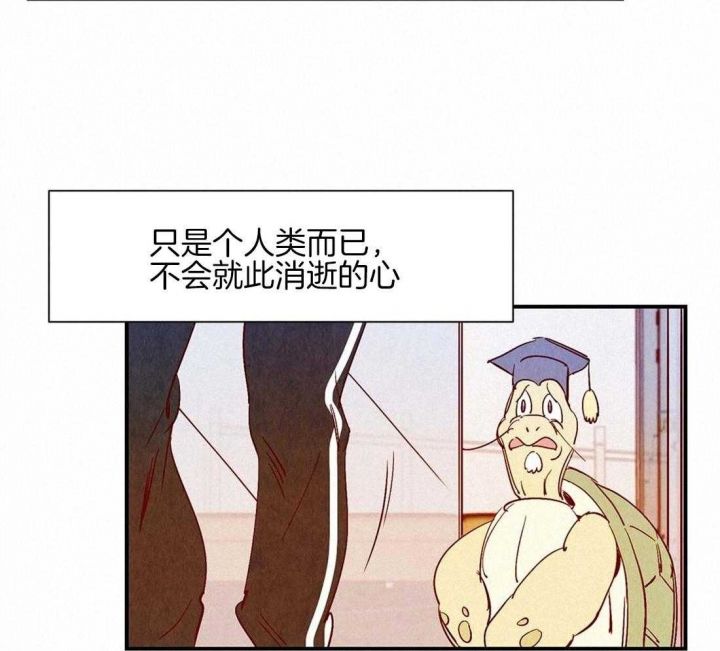 第44话17