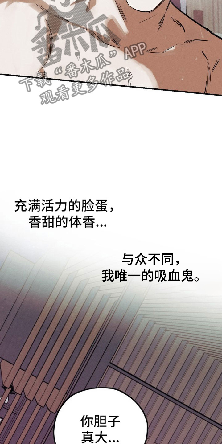 第11话11