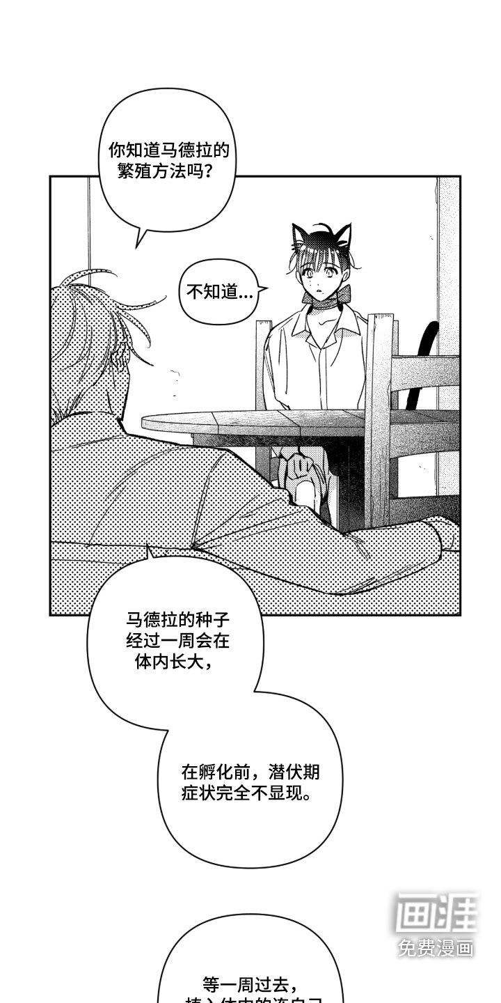 第44话15