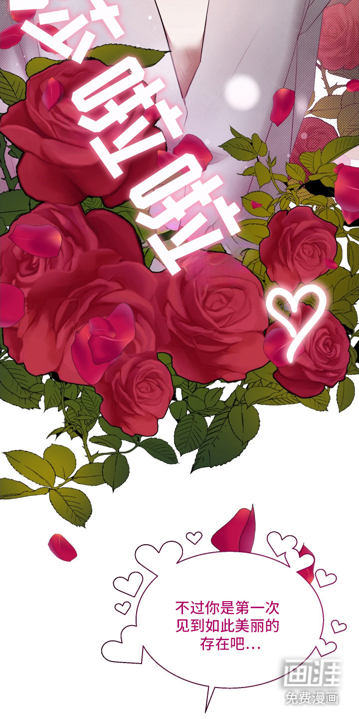 第8话11