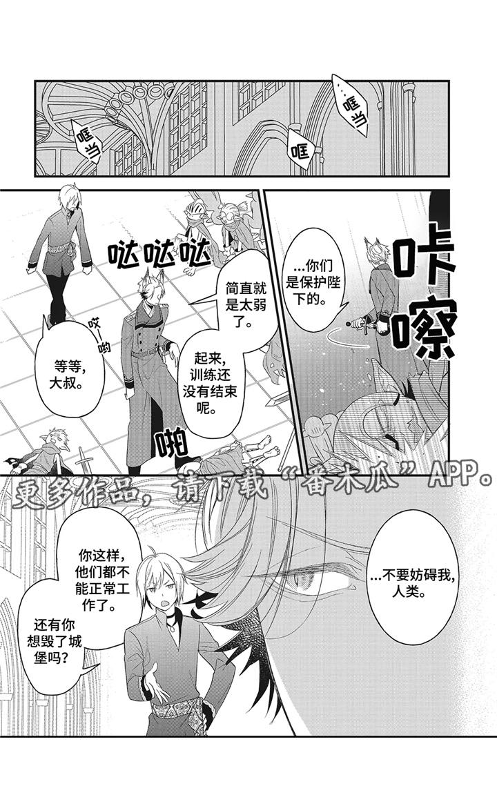 第5话12