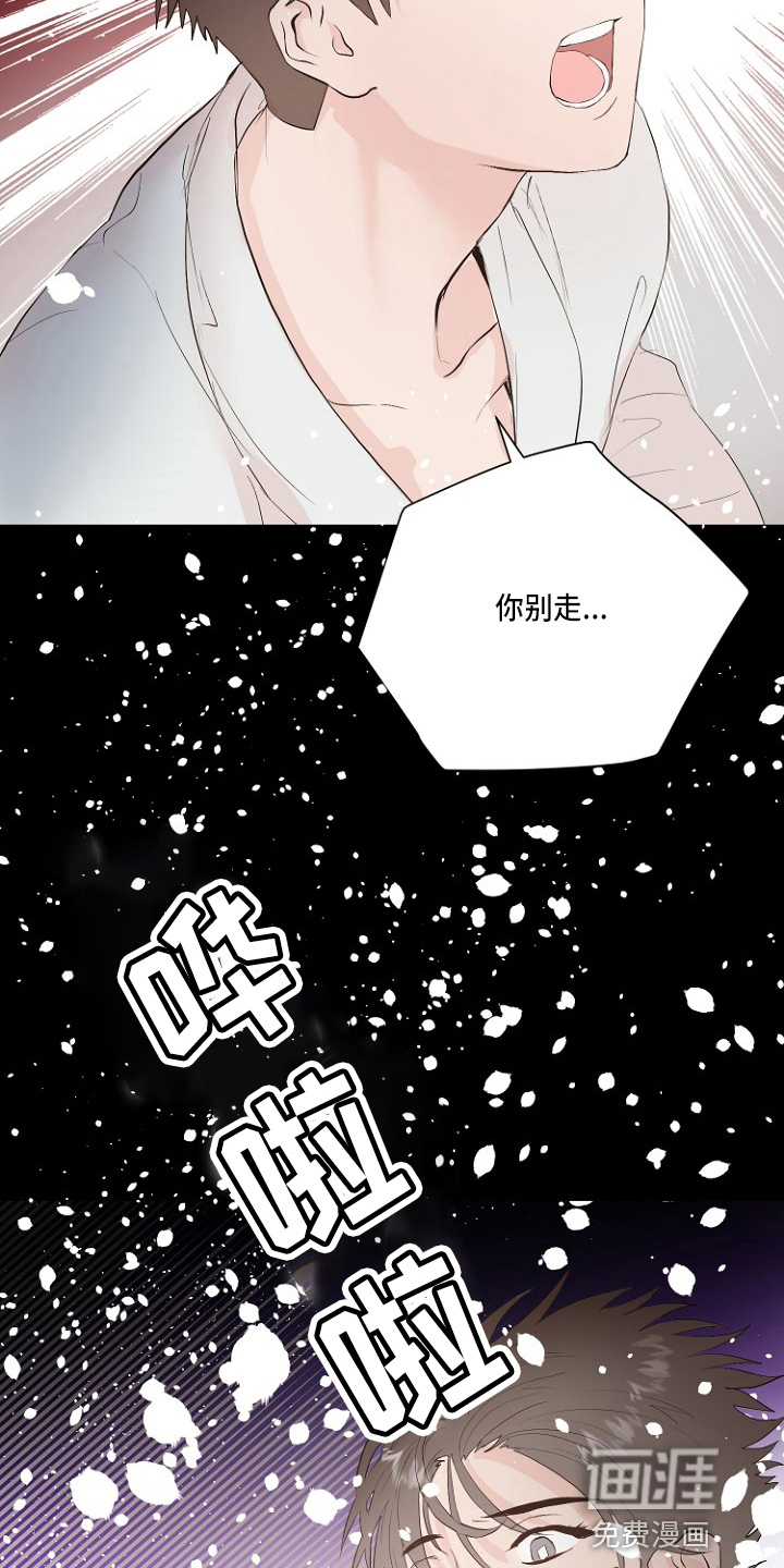 第31话11