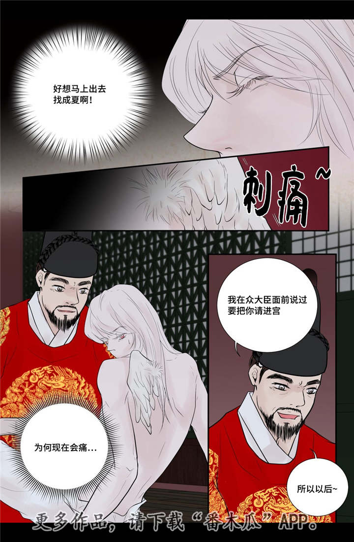 第52话0