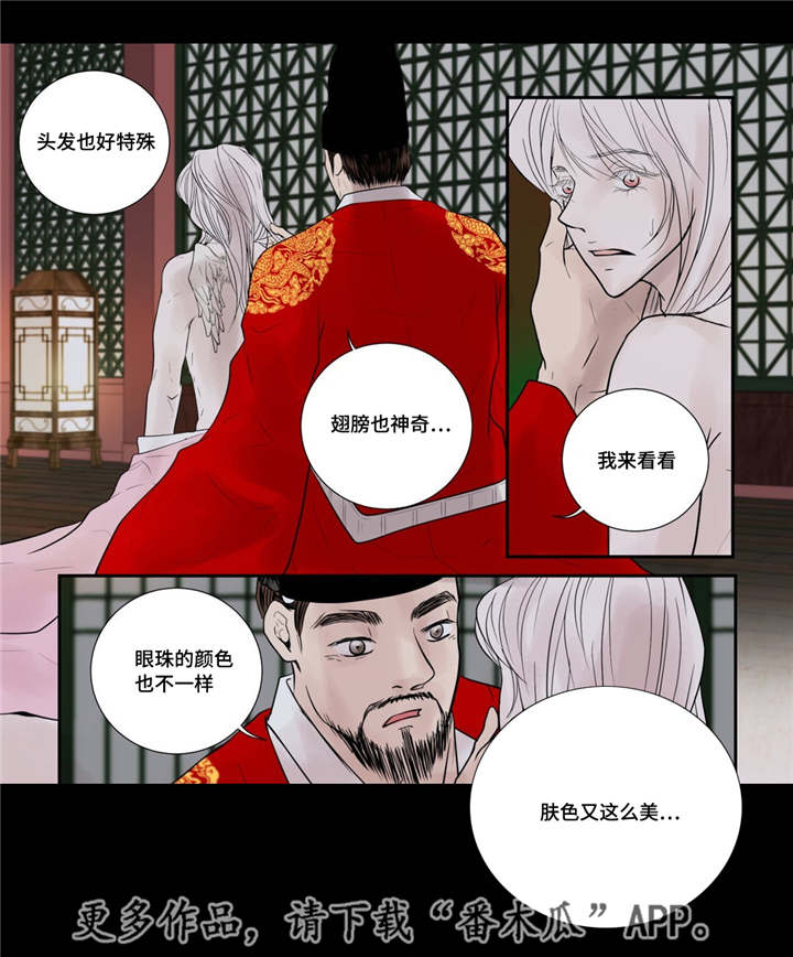 第51话11