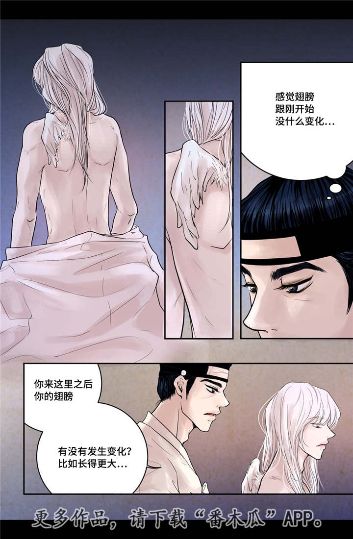 第13话8