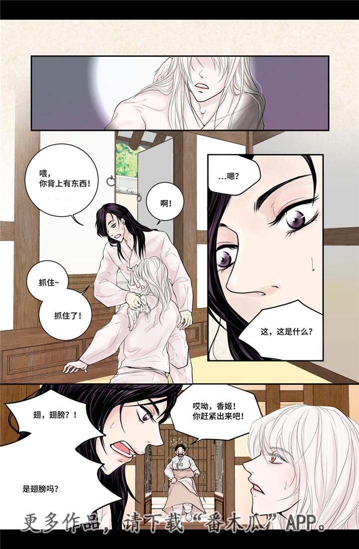 第6话3