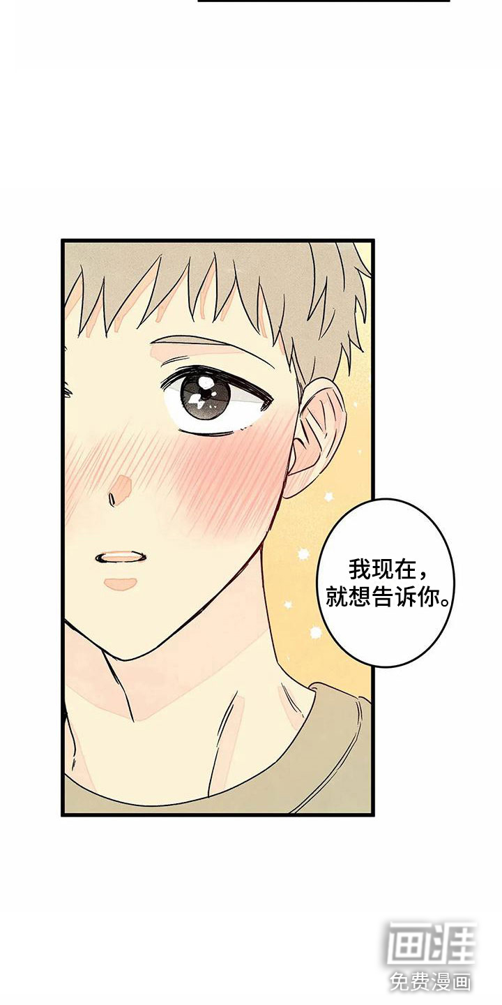 第11话15