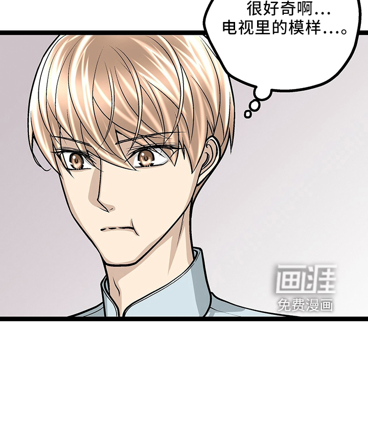 第33话17
