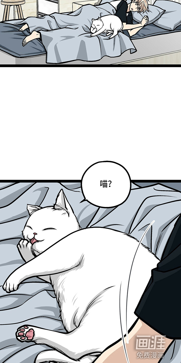 第23话3