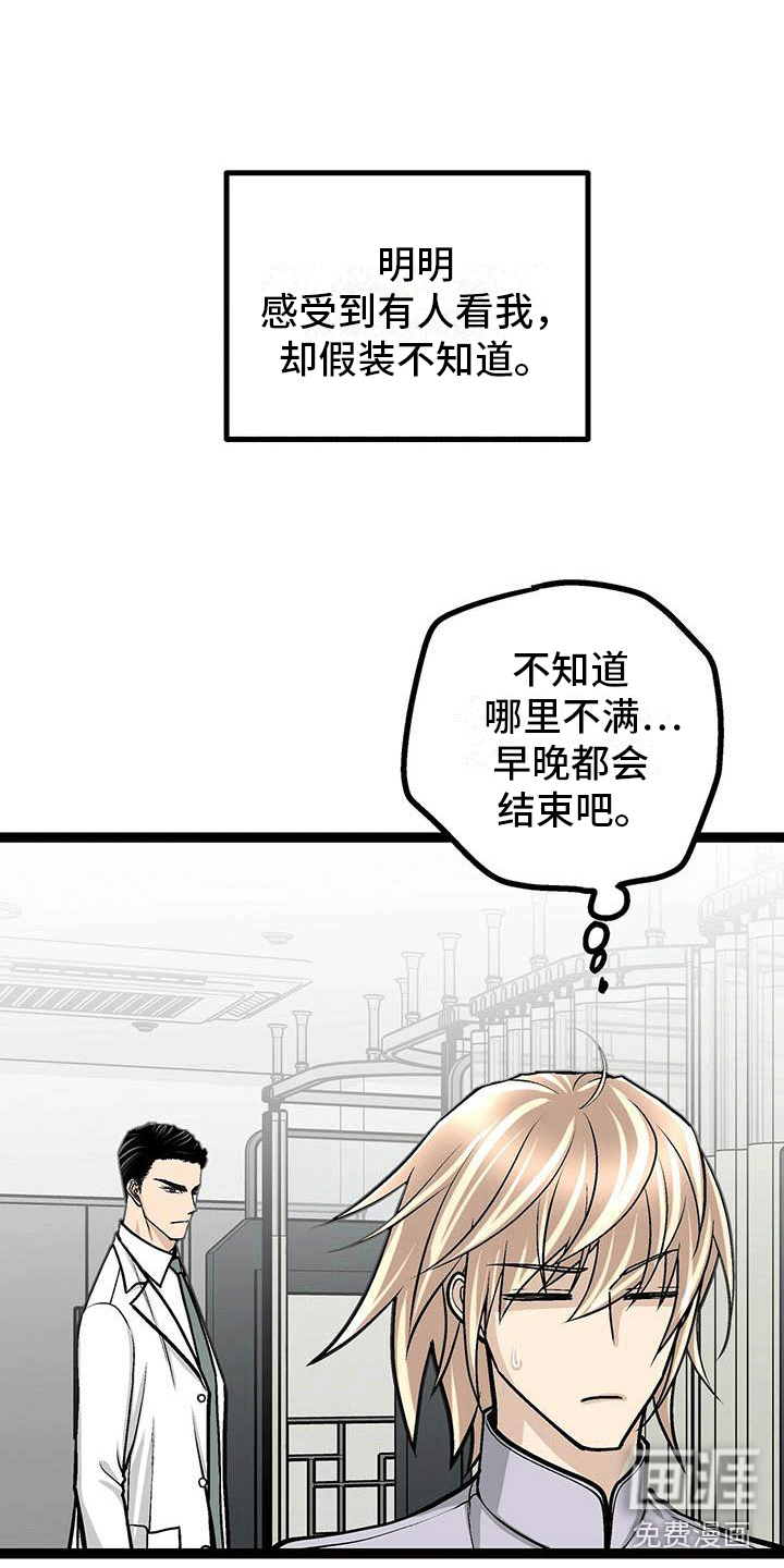 第13话14