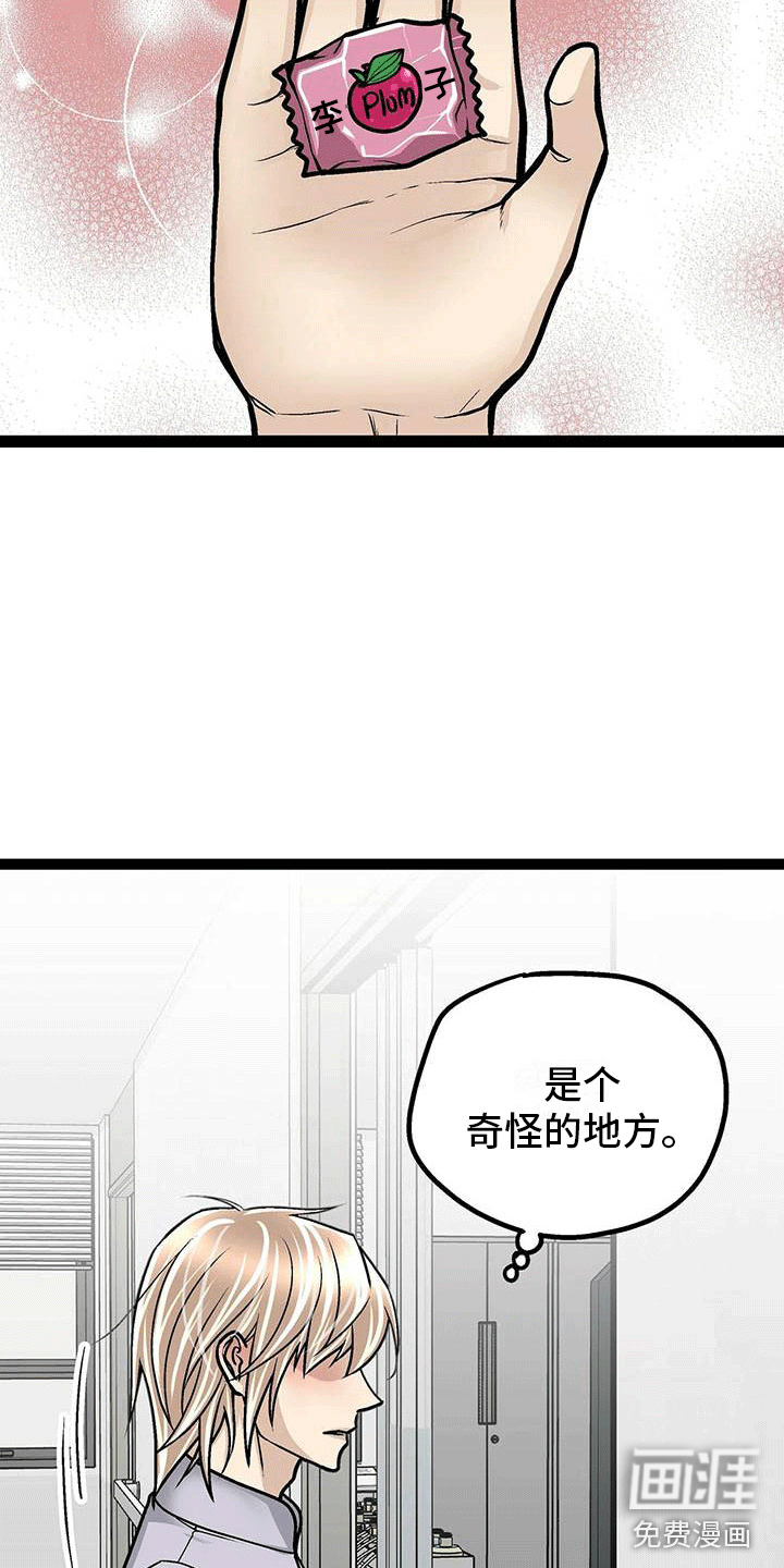 第9话10