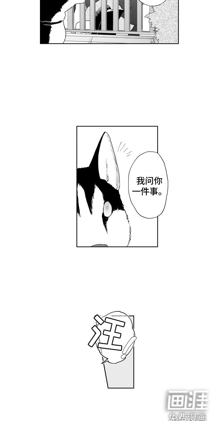 第17话13