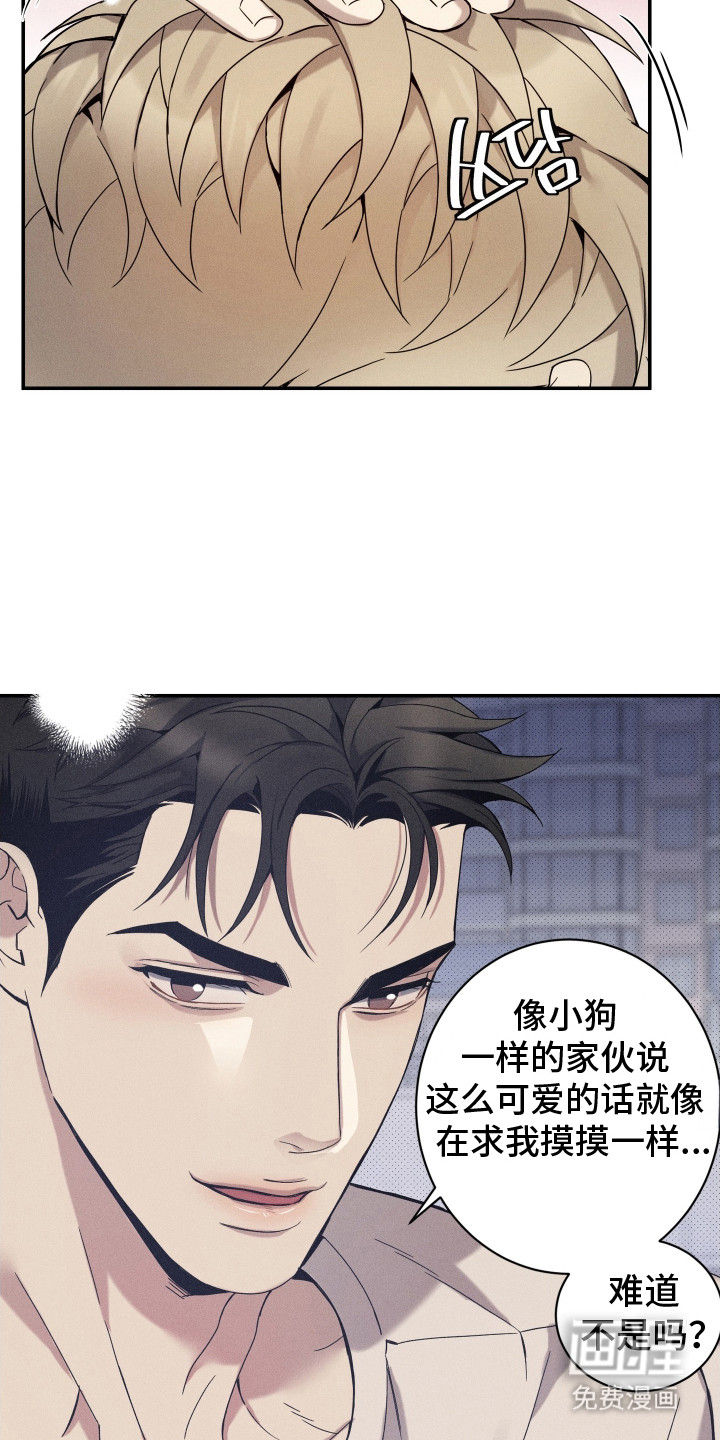 第17话17