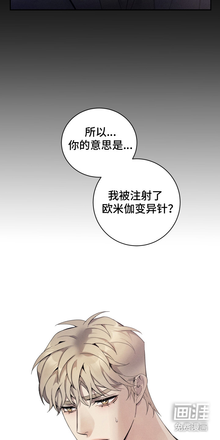 第11话12