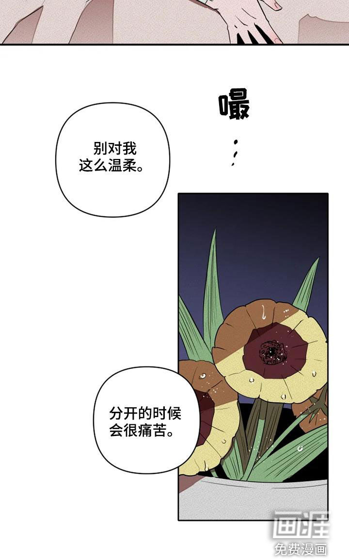 第29话28
