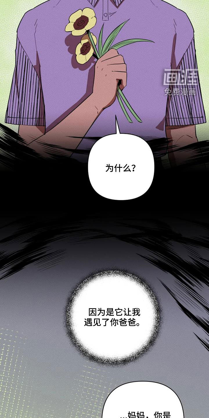 第28话13