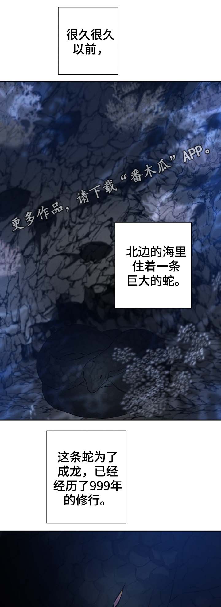 第33话0