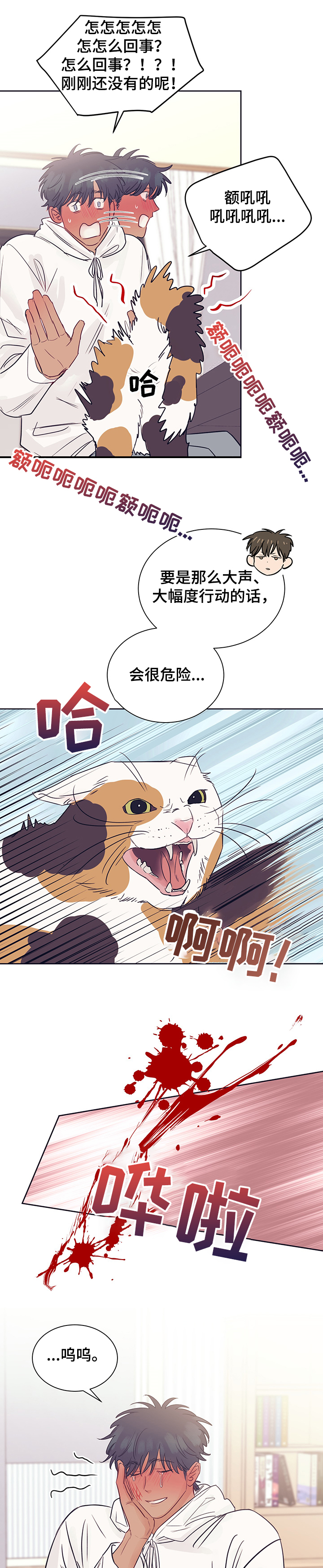 第36话5