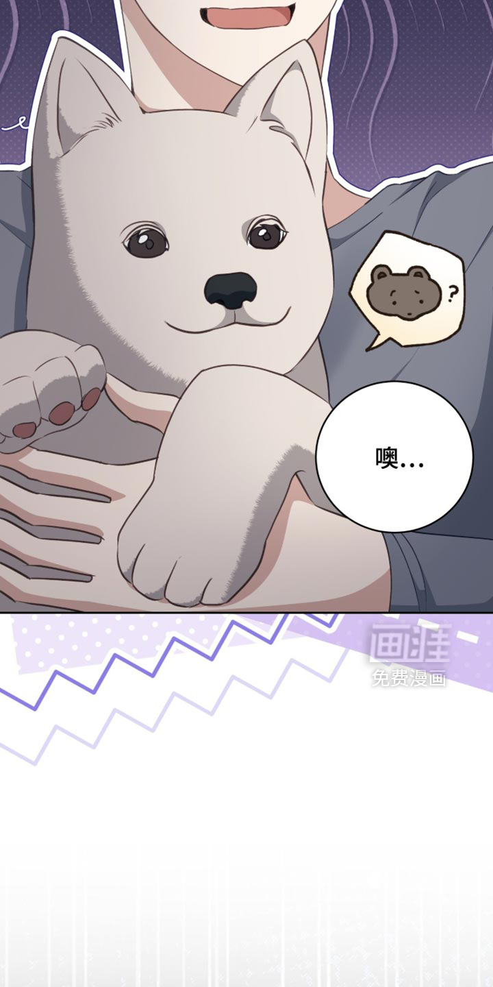 第41话17