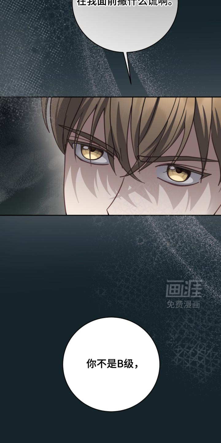 第35话37