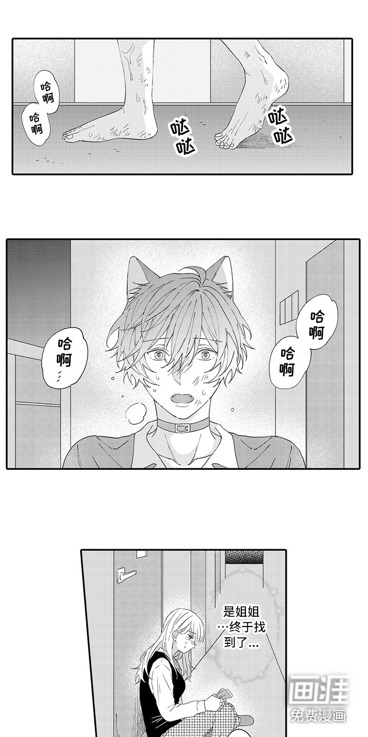 第17话11
