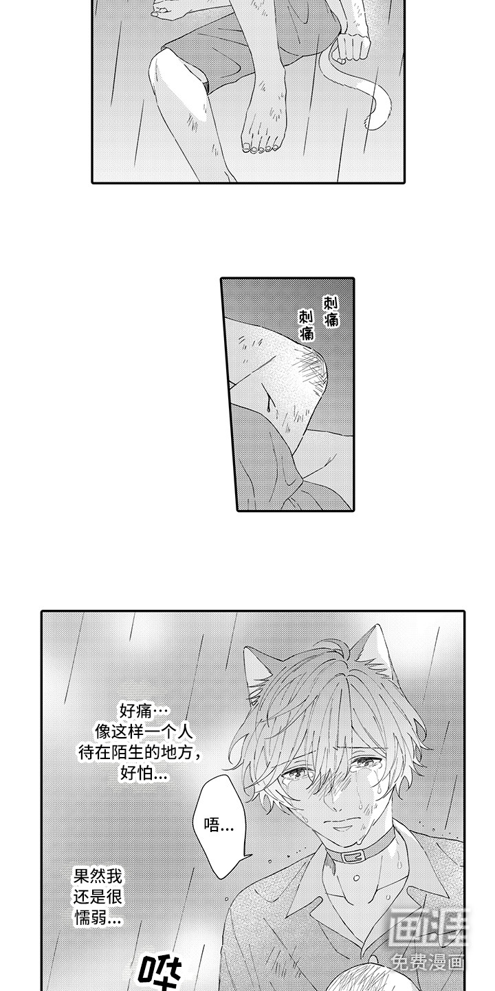 第17话6