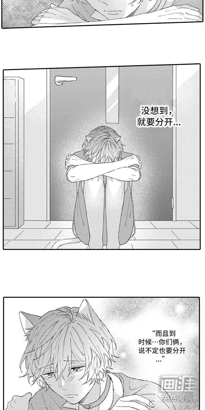 第13话11
