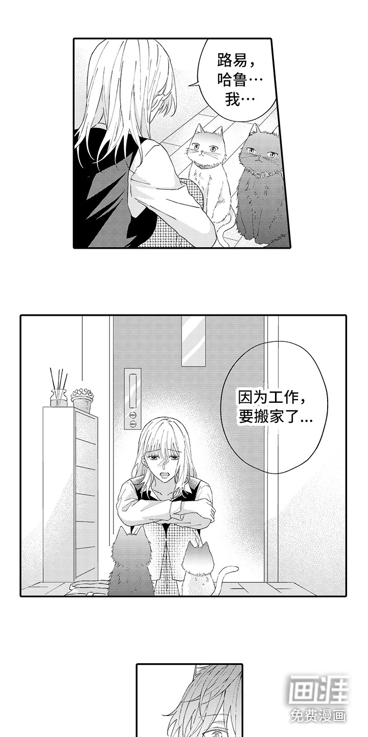 第13话5