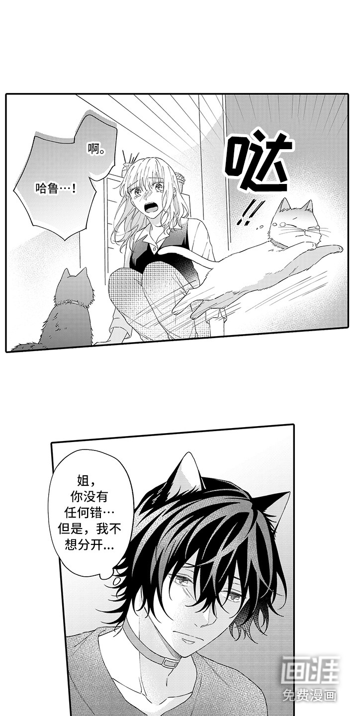 第13话9