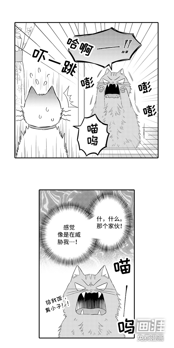 第7话13