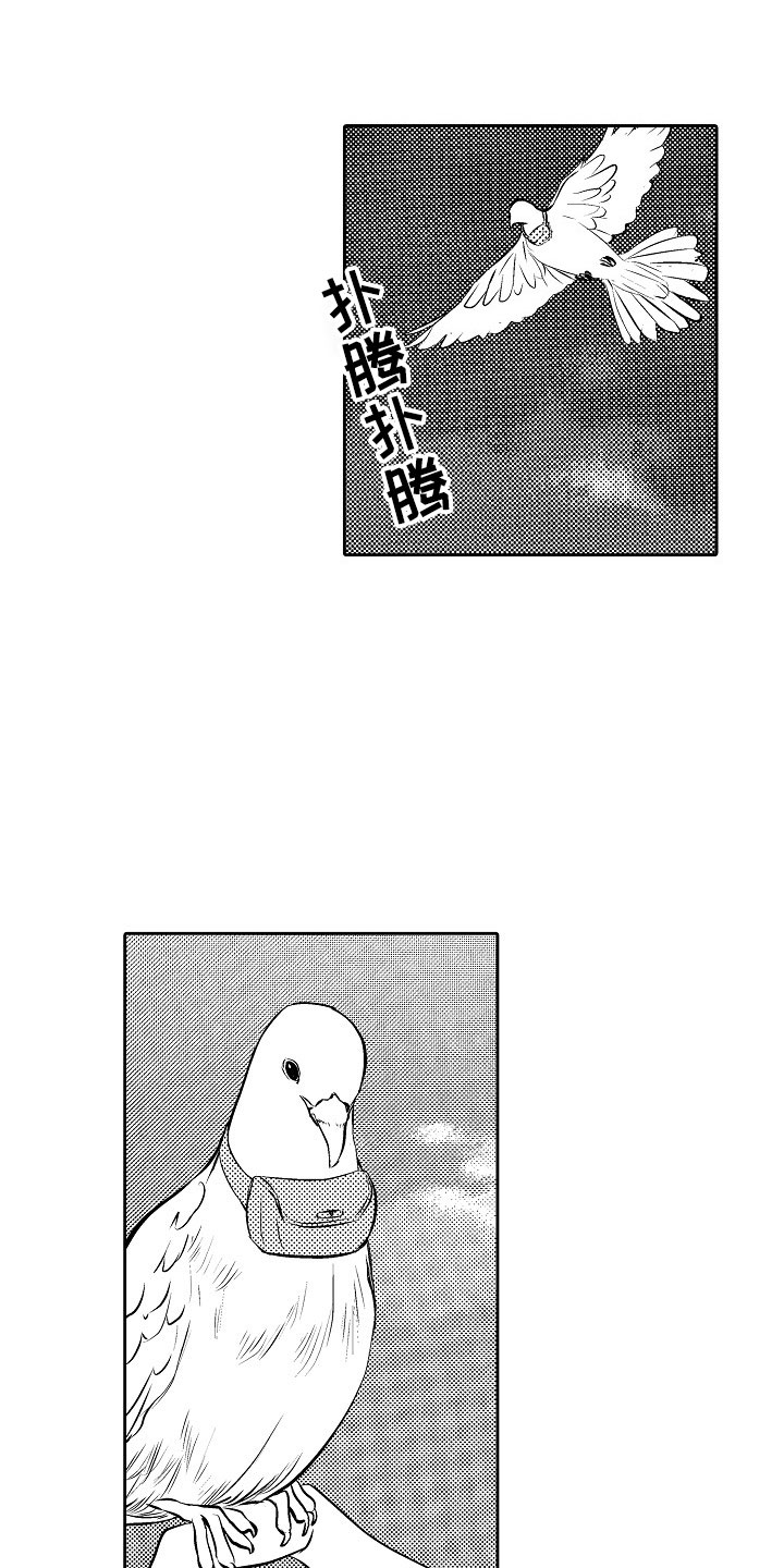 第28话1