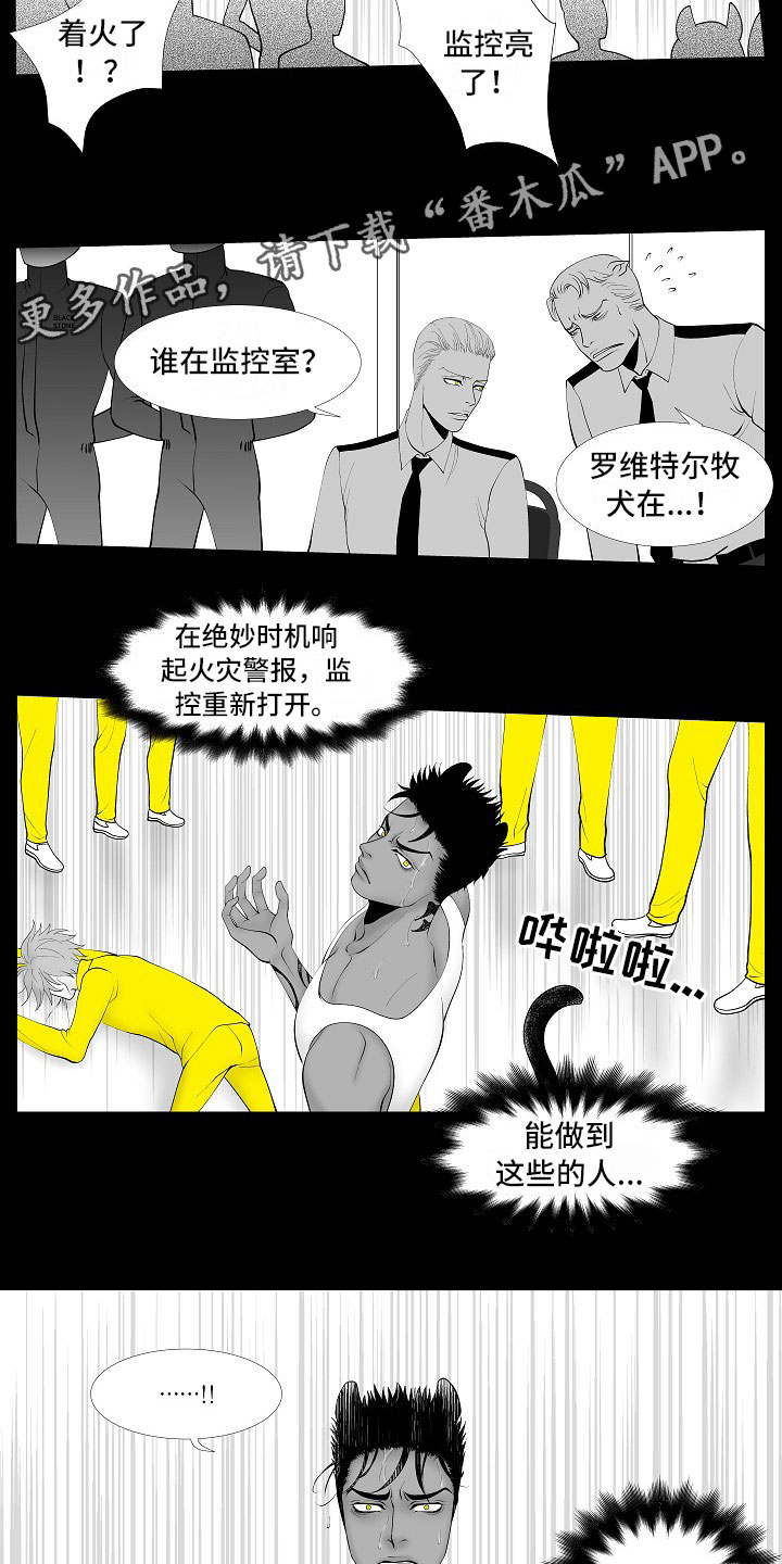 第13话5