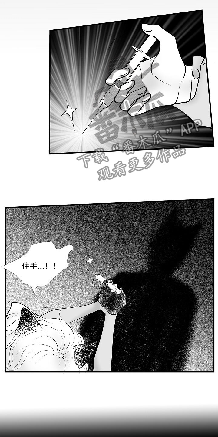 第11话5