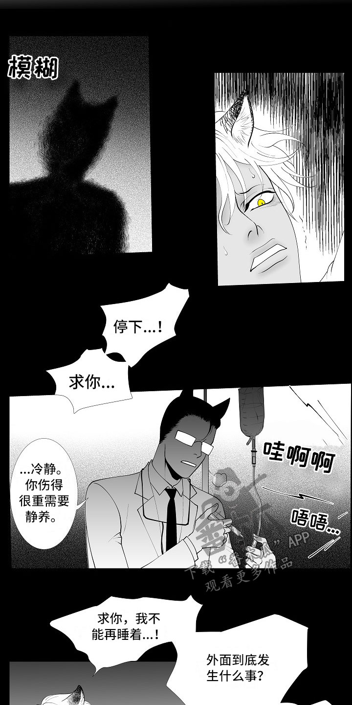 第11话6