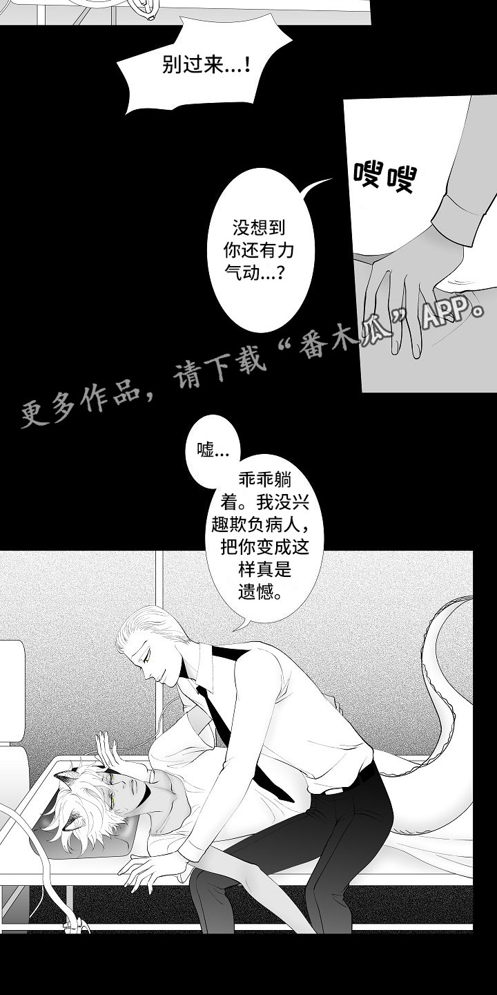 第9话5